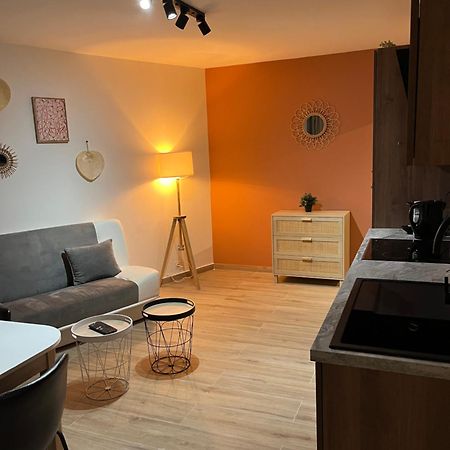 Joli Appart/Vue Etang/Clim /Wifi Баларук-ле-Бен Экстерьер фото