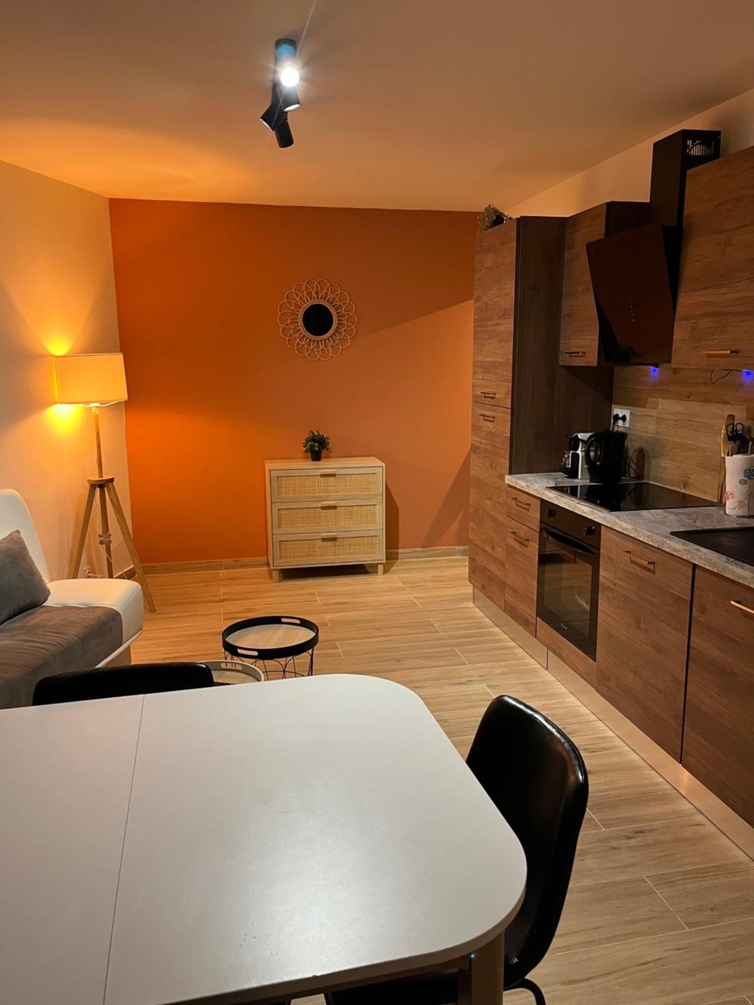 Joli Appart/Vue Etang/Clim /Wifi Баларук-ле-Бен Экстерьер фото