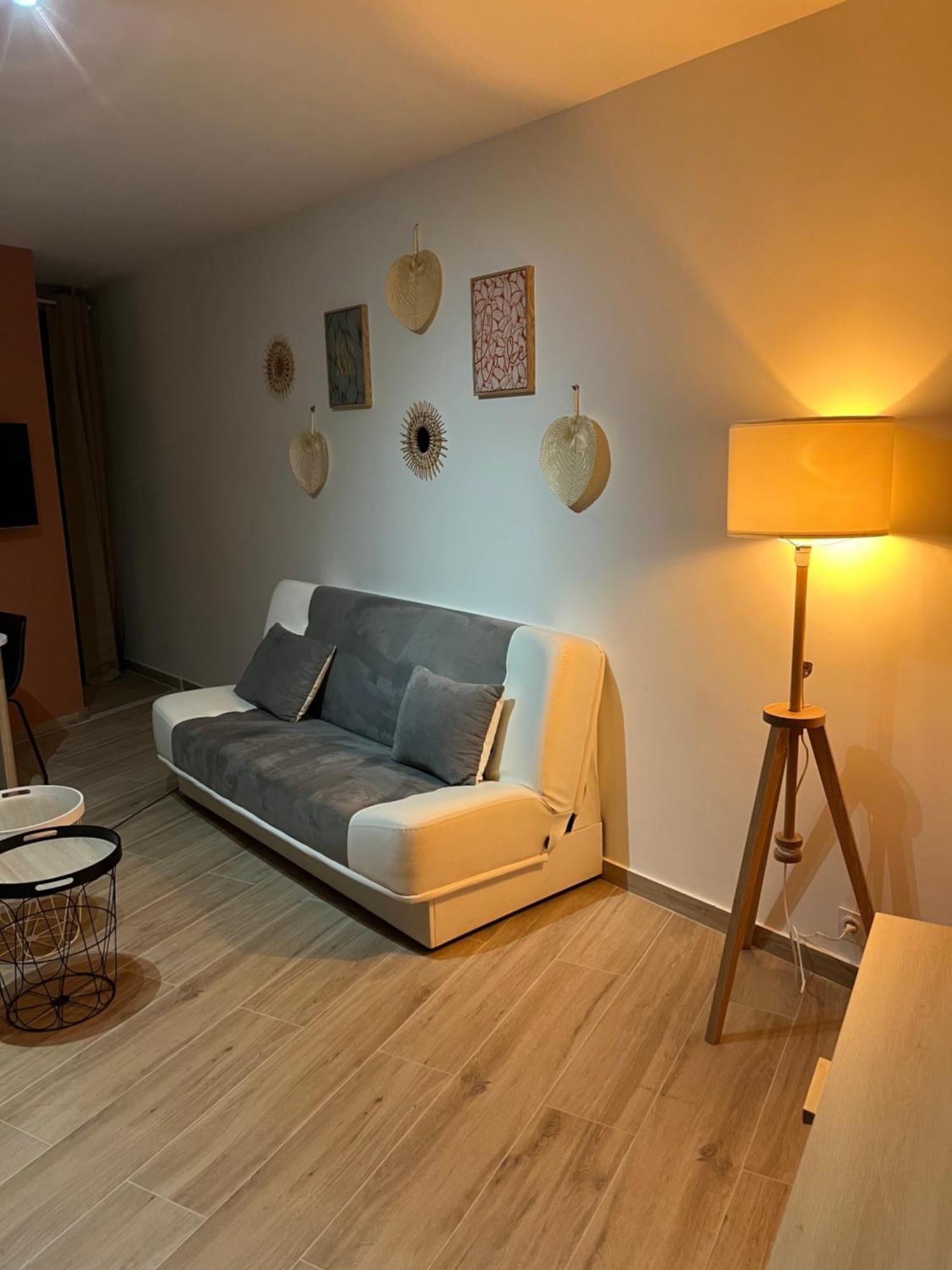 Joli Appart/Vue Etang/Clim /Wifi Баларук-ле-Бен Экстерьер фото