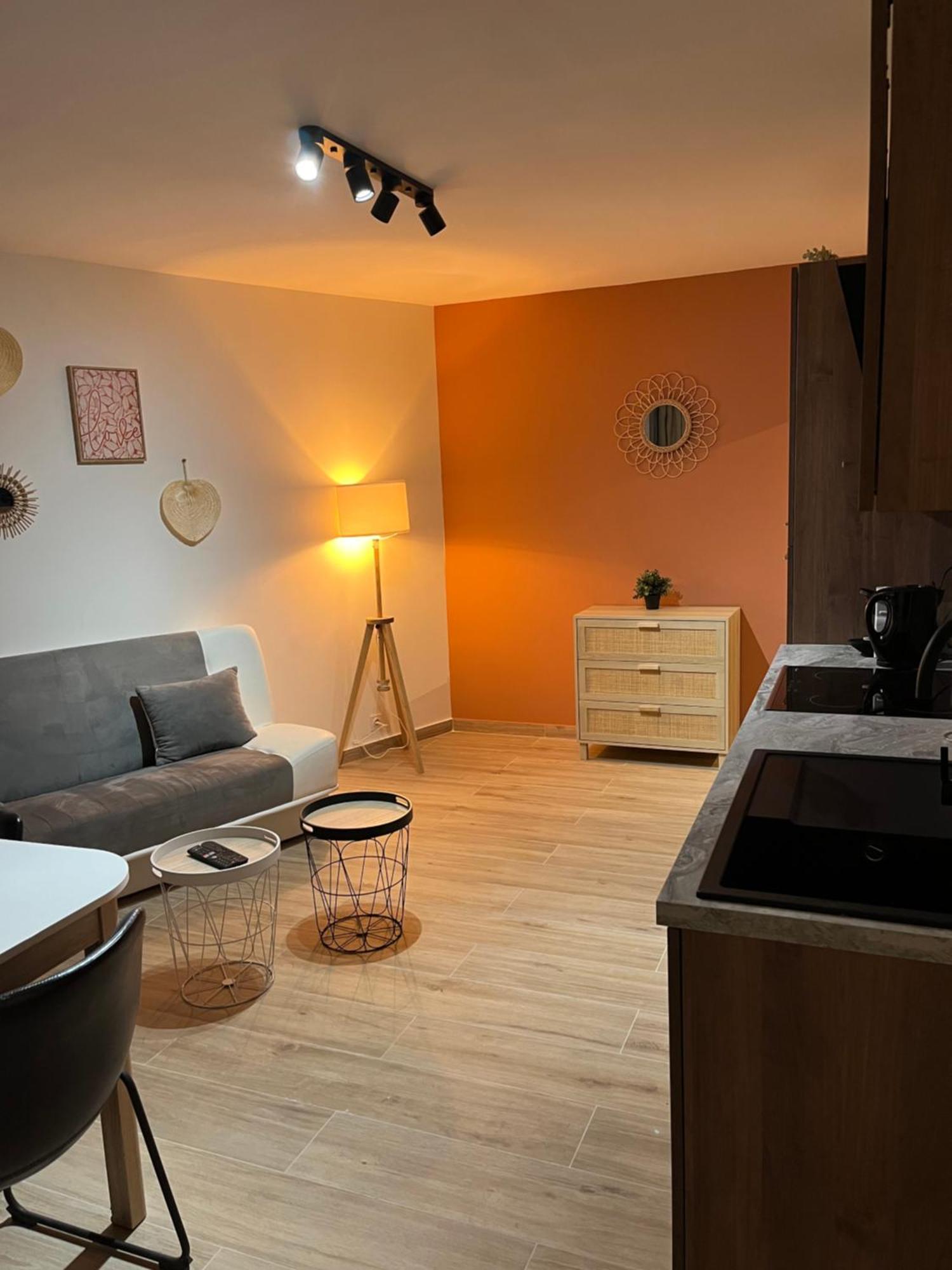 Joli Appart/Vue Etang/Clim /Wifi Баларук-ле-Бен Экстерьер фото